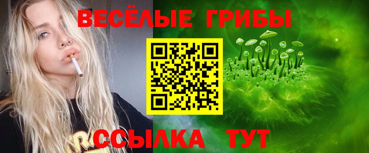 Псилоцибиновые грибы ЛСД  Вход с VPN  Галлюциногенные грибы GOLDEN TEACHER  Когалым 